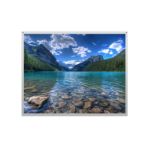 Factory Direct 19 Inch Tft <b>LCD</b> <b>Module</b> Display Panel Custom Size IPS <b>LCD</b> Screen for Consumer Electronics - Product Image 1