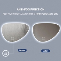Miroir LED en galets organiques nordiques avec rétroéclairage, miroir intelligent asymétrique minimaliste pour la conception de salles de bain d'hôtels modernes