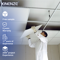 Panneau en Fibre Minérale Noir 2x4 pour Plafond Acoustique de Bâtiment de Bureau, Grille Perforée Ignifuge, Plafond Suspendu