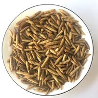 Soldat noir larves de mouches BSFL asticot séché alimentation animale vers comestibles aliments pour animaux de compagnie alimentation de volaille