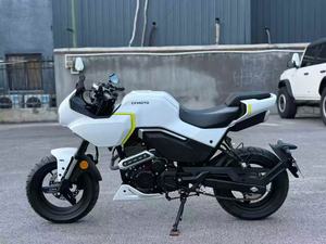 Motocicleta Deportiva HY Baboons 125th Street de Segunda Mano con Motor V6, Velocidad Máxima 80 km/h - Product Image 2