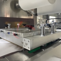 HY-420 Machine d'emballage sous blister souple pour sous-vêtements jetables, automatique, électrique, thermoformante, avec composants de pompe moteur 380V