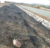 WDF usine 3D géomat conserver l'eau et le sol plantes graines d'herbe