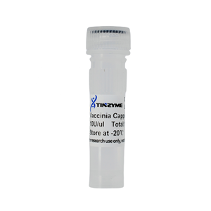 Enzima de Capping Tinzyme Vaccinia GMP-M062 50ul/frasco 99% Pureza Usada para Transcrição In Vitro Transfecção Microinjeção - Product Image 1