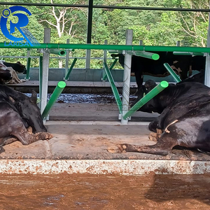 Flexible Free Stall for Dairy Cows Hot Galvanized Green Coated Cow Comfort Stall Cow Free Stall for Dairy Farm Equipment - Product Image 2