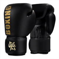 Nouveaux gants de kickboxing professionnels pour femmes et hommes, gants d'entraînement Sanda, sacs de sable, gants de boxe Muay Thai pour adultes, entraînement d'arts martiaux