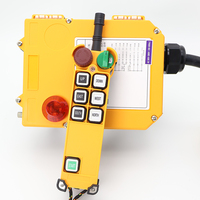 Sistema de Control Remoto Inalámbrico por Radio para Grúa Eléctrica con Transmisor y Receptor F24-6D IP65 a Prueba de Agua