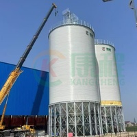 Silo in acciaio da 500ton specializzato per lo stoccaggio di grano 200ton-1000ton magazzino di mais 1000ton serbatoio di stoccaggio per mangimi Silo contenitori per cereali