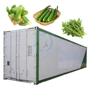 Contenedor de 40 pies, sistema agrícola vertical hidropónico, contenedor de invernadero