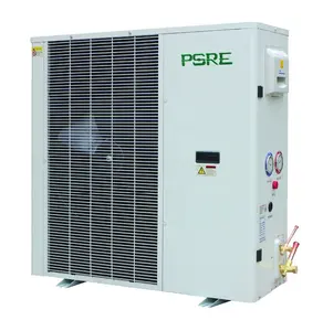 DC Inverter Invented Air Cooled Condenser Chiller Cold Cool Room Industrial Refrigeration Equipment Freezer Condensing Units