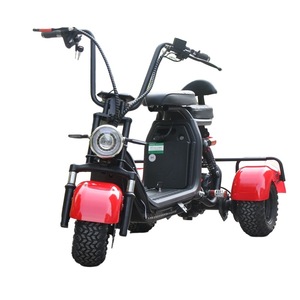 จักรยานสามล้อสำหรับผู้ใหญ่ 1000W 48V ยางกว้าง สกู๊ตเตอร์คู่ - Product Image 4