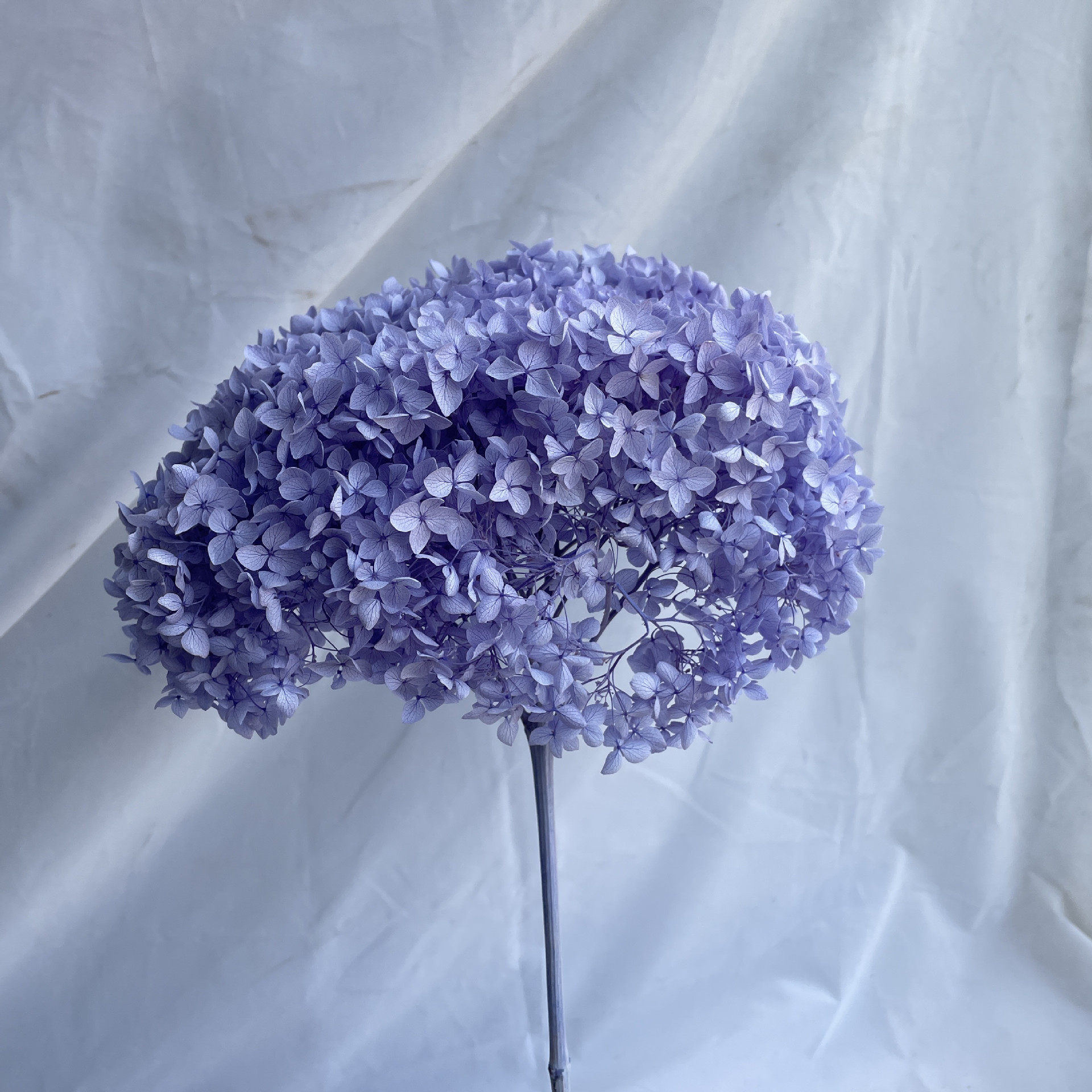 Bleu neigeux