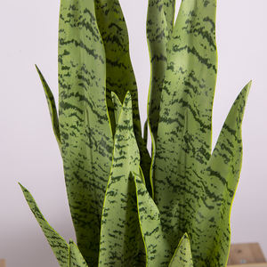 65cm respetuoso del medio ambiente <span class=keywords><strong>Sansevieria</strong></span> serpiente <span class=keywords><strong>Planta</strong></span> Artificial dentro <span class=keywords><strong>de</strong></span> las plantas <span class=keywords><strong>de</strong></span> casa verde - Product Image 4
