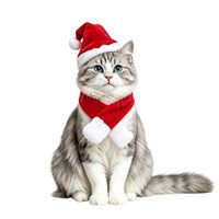 Ensemble chapeau et écharpe de Noël CHUUYU pour animaux de compagnie, motif festif rouge, pour chiens et chats, accessoires de déguisement pour les fêtes