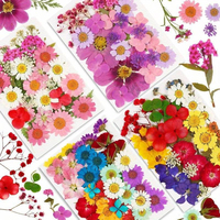 Décoration d'intérieur, décoration d'événements de mariage, fleurs séchées mélangées pressées pour l'artisanat en résine, fleurs séchées naturelles réelles