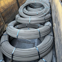 Fil d'acier précontraint en béton à haute teneur en carbone 3 mm 3,2 mm 4 mm