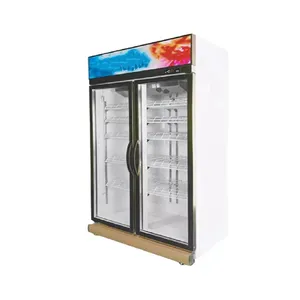 Factory Supplier New brand 2022 hinge basket tropical chest freezer
