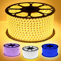 Bande lumineuse LED COB super brillante AC110V blanc froid 6000K, étanche IP65 pour extérieur, avec prise US et contrôle par application