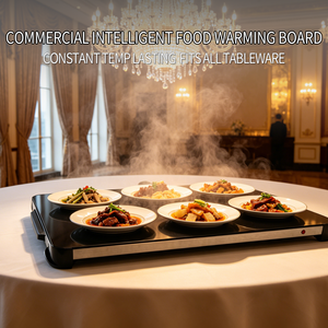 Plaque chauffante carrée simple et professionnelle 500W avec commande par bouton, température réglable, pour usage domestique et commercial, chauffe-plats de table - Product Image 3