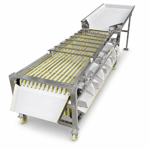 Máquina Clasificadora de Frutas Multicanal Personalizable, Clasificadora por Pista para Tomates, Cítricos y Bayas - Product Image 1