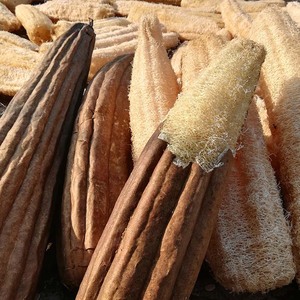 Éponge à vaisselle douce en loofah naturel, brosse à casseroles, brosses de nettoyage de cuisine antiadhésives, serviette de bain et loofah pour le corps en gros - Product Image 2