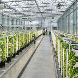 Sistema <span class=keywords><strong>de</strong></span> Lámparas para Cultivo <span class=keywords><strong>de</strong></span> Piña <span class=keywords><strong>de</strong></span> 6-12 Capas, Diseño Nuevo <span class=keywords><strong>de</strong></span> Fábrica, con Bomba, Sistema Hidropónico Interior <span class=keywords><strong>de</strong></span> Segunda Generación - Product Image 6