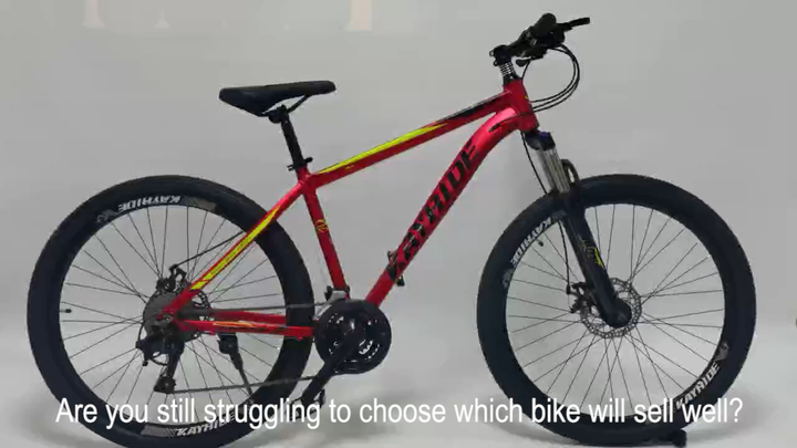 Shop Our 250cc Racing Bikes with Free Shipping Samples