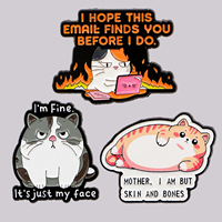 Pin de esmalte de gato gordo lindo con frases divertidas, broche, insignia para mochila, accesorios de ropa, joyería de animales, regalos para amigos
