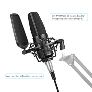 BOYA BY-M1000 Large Diaphragm Condenser Capsule Microphone for Singer Podcasting Artist Studio Mic - Product Image 2