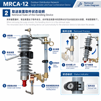 Dispositif combiné de protection contre les surtensions intelligent MRCA-12(Z) personnalisé pour les projets d'alimentation à moyenne tension