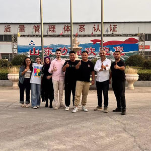 SDLQ LQR-80 Rupskraan Boorinstallatie Palenrammachine Rijmachines Kleine palenrammen te koop <span class=keywords><strong>Toyo</strong></span> Hydraulische Boor - Product Image 5