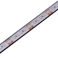 Lampe de culture LED SMD à spectre complet personnalisable 120 LED/m 24V 28,8W/m IP68 avec télécommande et variateur d'intensité pour l'éclairage de croissance des plantes d'intérieur