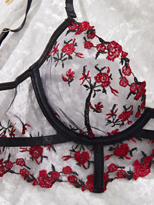 Ensemble de lingerie féminine <span class=keywords><strong>transparent</strong></span>, <span class=keywords><strong>sexy</strong></span> et élégant pour jeune femme, avec broderie en dentelle et jersey tissé à motif ajouré - Product Image 3