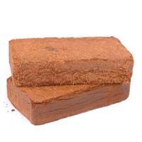 Brique de coco compressée 100% biologique de qualité supérieure pour la culture d'herbes aromatiques