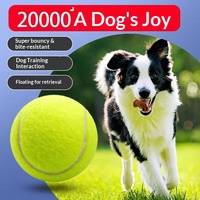 Balle de tennis flottante en caoutchouc élastique pour chien, résistante à l'usure, jouet d'extérieur pour chiot, chien de taille moyenne/grande, vente en gros