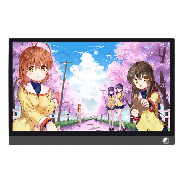 OEM 15.6 Inch IPS LED 4K Portable Slim Touchscreen Monitor for Gaming Silver Mini-HD/USB-C 1ms Response Time 400cd/m