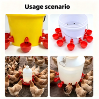 Abreuvoir automatique épaissi pour pigeons, poulets et oiseaux