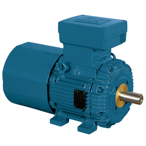 มอเตอร์ WEG W21 0.12-330kW สำหรับอุตสาหกรรม ป้องกันการระเบิด ประสิทธิภาพ IE4 โครงอะลูมิเนียม/เหล็ก  สามเฟส แรงดันต่ำ มอเตอร์ W21 กำลังสูง - Product Image 2