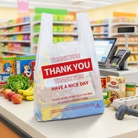 Sac plastique à poignées en T pour supermarché, vente en gros d'usine, idéal pour les épiceries et les magasins de vêtements