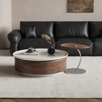 Table basse de salon design, style discret, plateau en bois massif, rangement amovible, pliable, luxe léger, style antique
