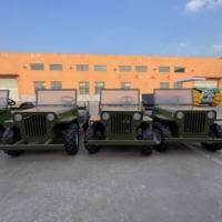 QIQU - Kart de Alquiler de 48 V para Parque de Atracciones, Estilo Jeep Eléctrico para Adultos