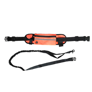 Pochette <span class=keywords><strong>de</strong></span> <span class=keywords><strong>ceinture</strong></span> en nylon à motif solide unisexe réglable avec laisse pour chien Poche d'argent durable et corde élastique - Product Image 1