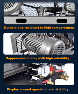 Compresseur d'air à piston lubrifié à entraînement par courroie 220v/50Hz 1,5kW 0,8bar 2HP avec pompe portable - Product Image 3
