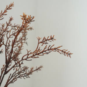 <span class=keywords><strong>Promie</strong></span> الأعلى مبيعًا ، ساق أعشاب مرجانية اصطناعية من نبات السرو بورجوندي ، جذع أعشاب Luckyweed للمنزل ، ديكور حفلات الزفاف - Product Image 6