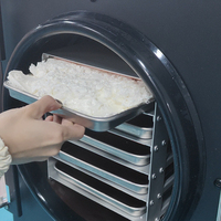 Prix d'usine, grande capacité, lyophilisateur de poisson, lyophilisateur commercial de 20 kg, machine de lyophilisation sous vide