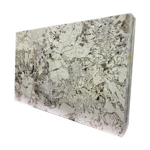 무료 샘플 천연 광택 알파인 화이트 화강암 석판 - Product Image 1