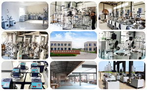 <span class=keywords><strong>P810</strong></span> /P850 Lab Polarímetro Automático e Sacarímetro Digital Polarímetro Preço - Product Image 4