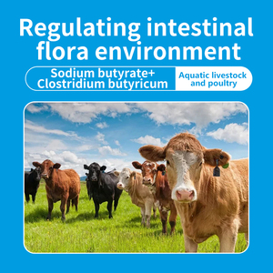 ผงโซเดียมบูสเตอร์เพิ่มน้ำหนักอาหารเสริมเอนไซม์เกรดอาหารสัตว์ปีก - Product Image 3