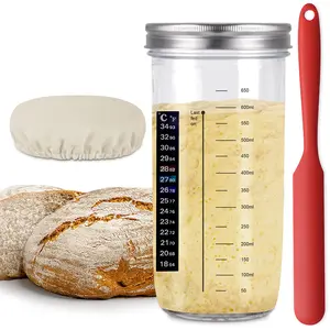 Grosir Sourdough Kit stoples pemula dengan tanggal ditandai makan Band, termometer untuk Roti Baking Sourdough Jar pemula