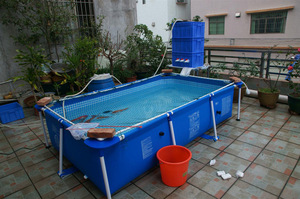 <strong>Intex</strong> Piscina Swimming <strong>Pool</strong> 28270 Simple Small <strong>Rectangular</strong> Frame Above Ground Family Swimming <strong>Pool</strong> - Product Image 4